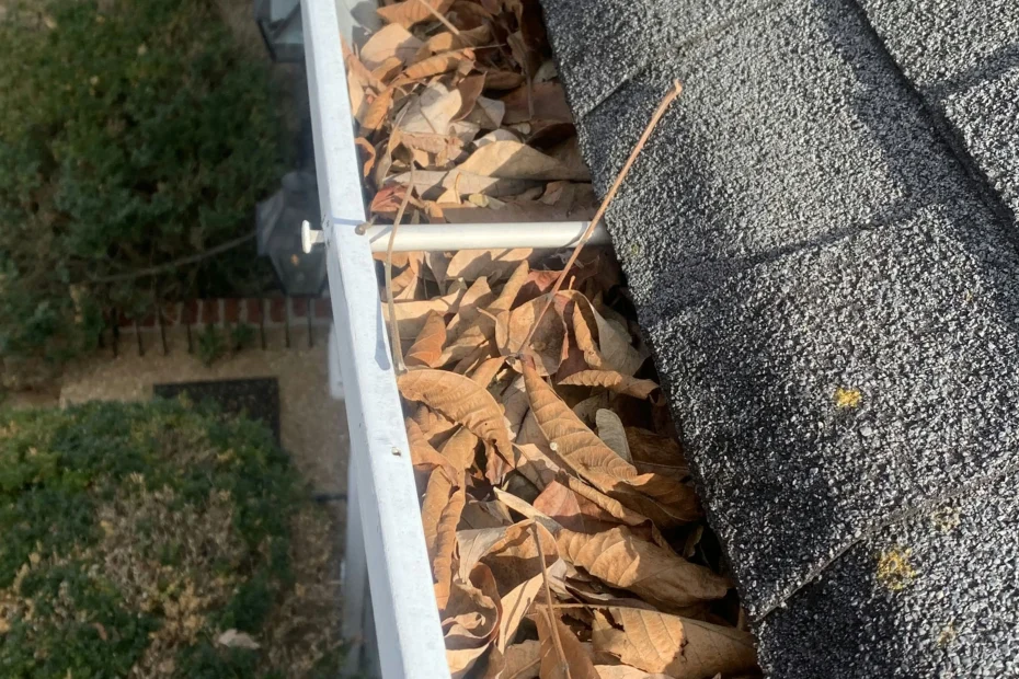 Gutter Cleaning Pine Ridge