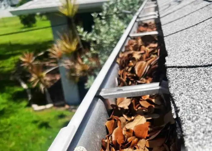 Gutter Cleaning Pine Ridge home page